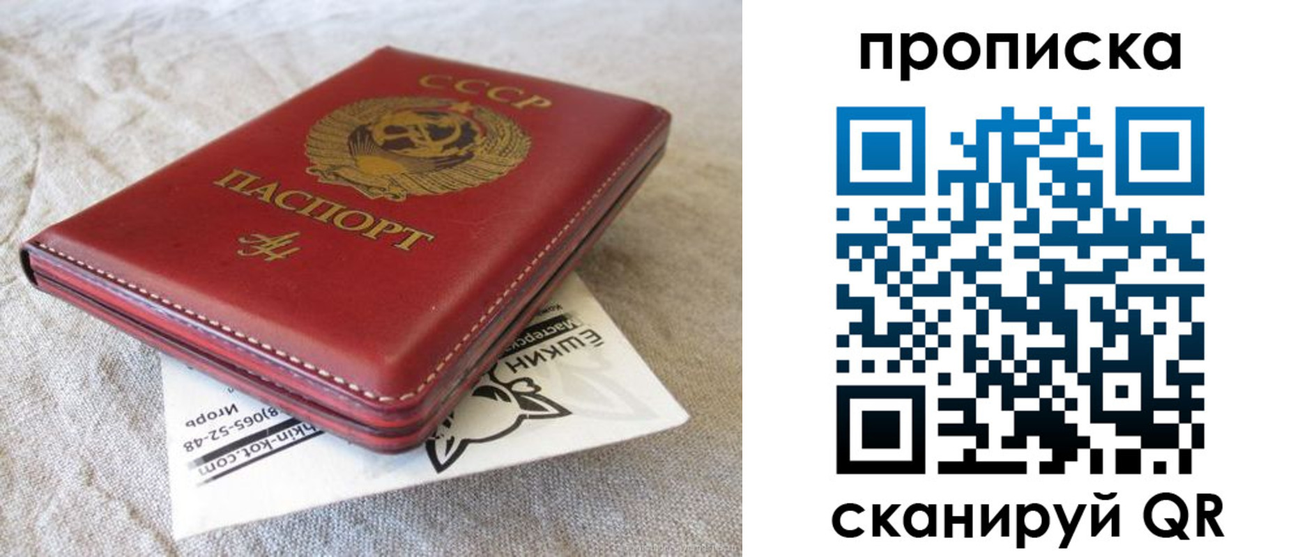 прописка для школы в Дубовке
